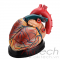 mô hình giải phẫu tim (phóng to 4X), mô hình bộ môn giải phẫu, mô hình giảng dạy, mô hình giảng dạy y khoa, CBM-261D, an kim, akitech