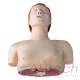 mô hình đào tạo hồi sức tim phổi cơ bản (nửa cơ thể), mô hình điều dưỡng, mô hình giảng dạy, mô hình giảng dạy y khoa, XC-404, an kim, akitech